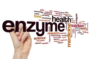 Wertvolle Enzyme ! Quelle: shutterstock