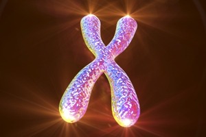 Telomere schützen die DNA